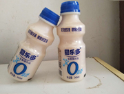 圆乐多乳酸菌饮品340ml